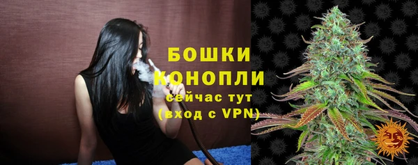 стаф Пересвет