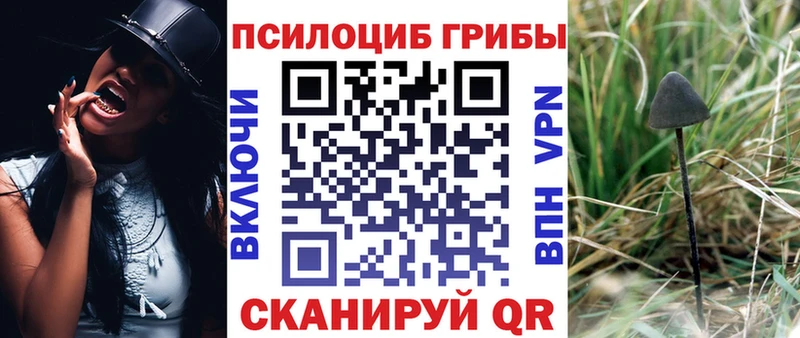 KRAKEN маркетплейс  Спасск-Рязанский  Псилоцибиновые грибы Magic Shrooms 